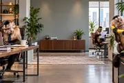 Monkey Office Mayhem